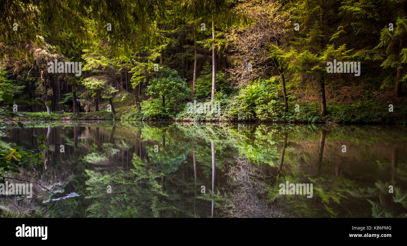 Wald See wildlife Natur Ruhe Landschaft Stockfoto