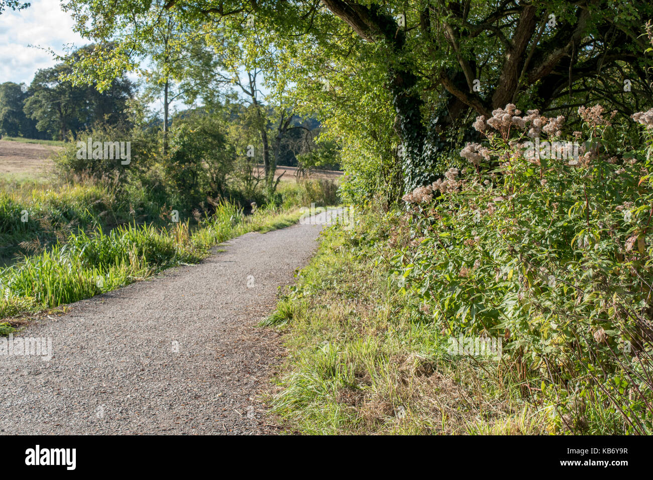 Sommer Abend Ende September neben dem Cromford Canal in The Derbyshire Peak District Stockfoto