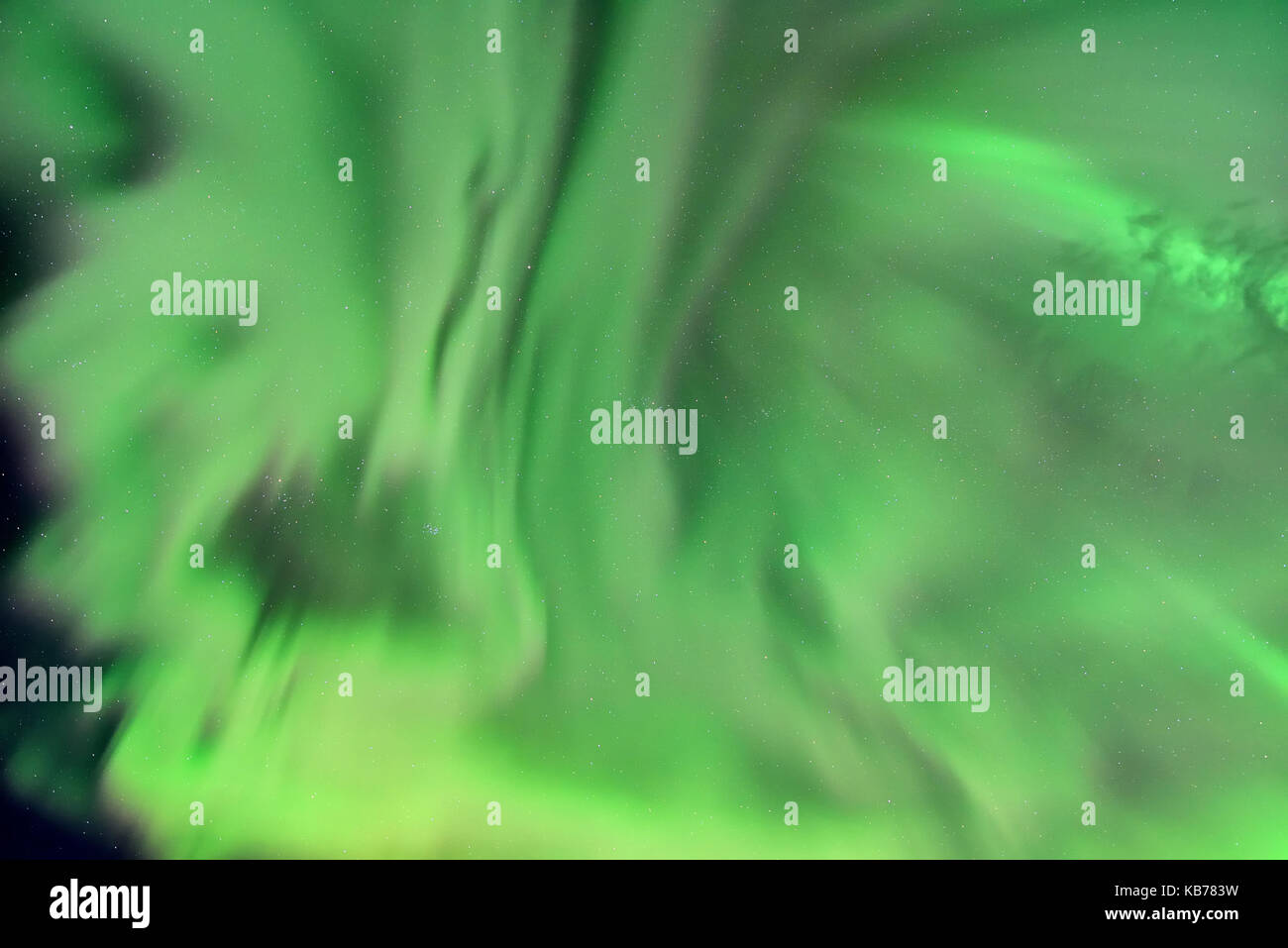 Nordlichter (Aurora Borealis) im Himmel, Island, Hof Stockfoto