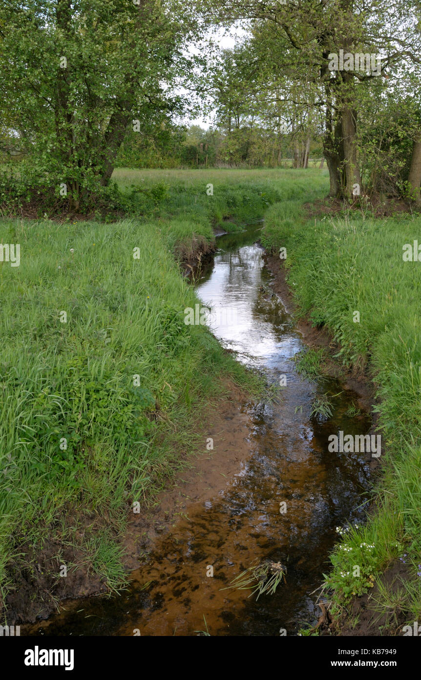 Das klare Wasser des Anlooër Diepje schlängelt sich durch das Tal, Die Niederlande, Drenthe, Nationaal beek-en esdorpenlandschap Drentsche Aa Stockfoto