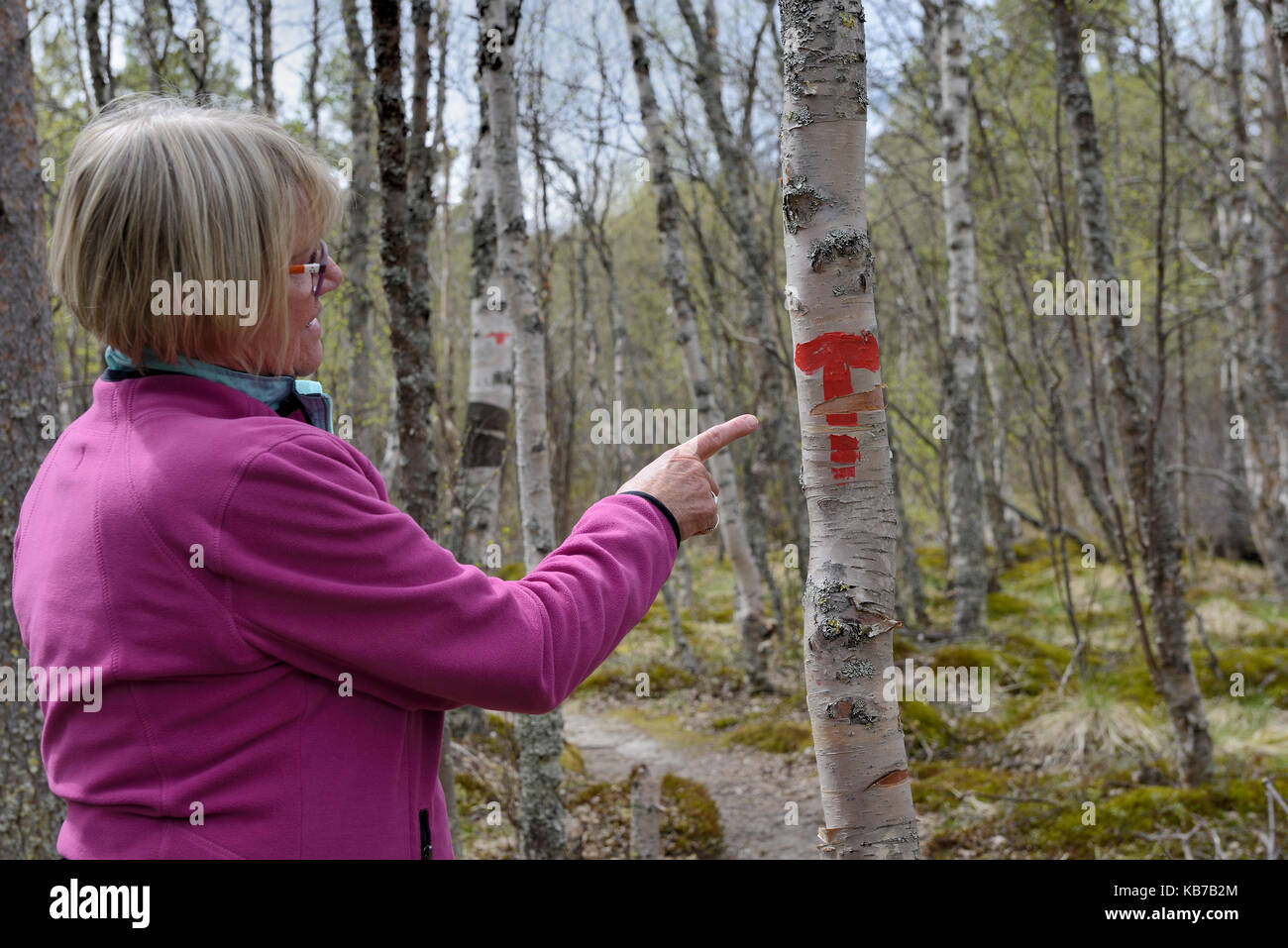 Alle T-für touristische Beschilderung weist den Weg zu Kabinen in den Bergen, Norwegen, Hedmark, Rondane Nationalpark Stockfoto