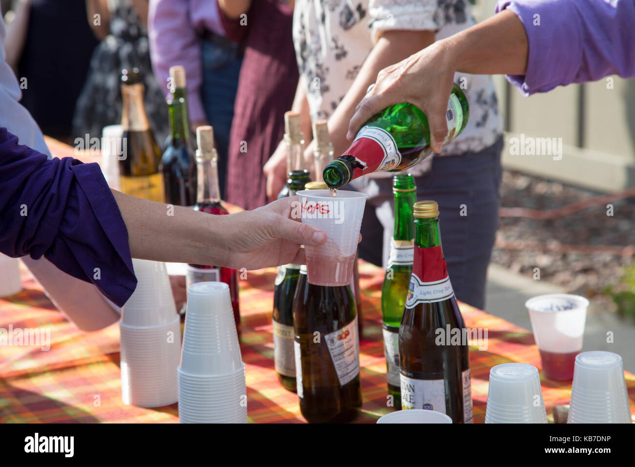 Finnland, Minnesota - Getränke sind für die Toast bei einer Hochzeit im Freien gegossen. Stockfoto