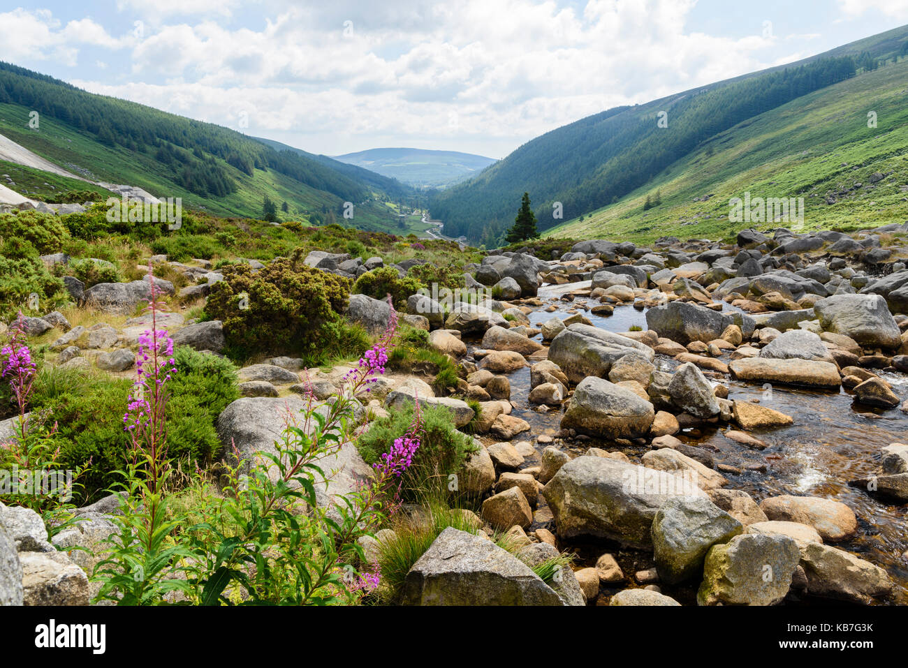 Rocky River an der Wicklow Gap, County Wicklow, Irland Stockfoto