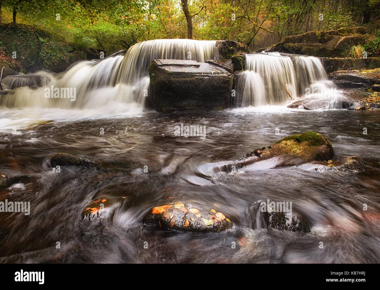 Taf Fechan Wald Wasserfall Stockfoto