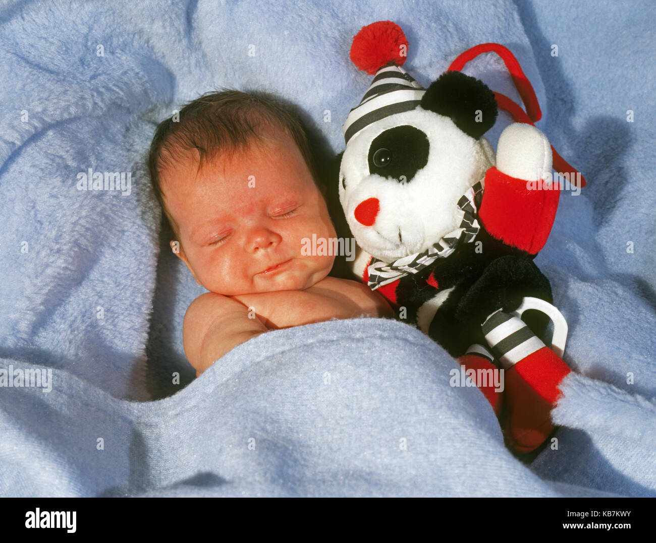 Ein 2 Wochen altes Baby Mädchen hält ihr Spielzeug Pandabär, als sie ein Nickerchen in eine blaue Decke. Stockfoto