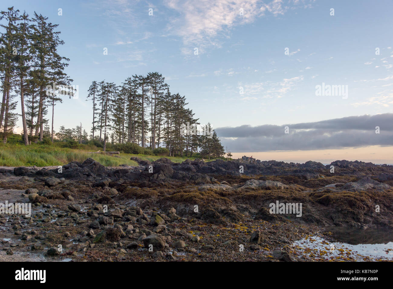 Ucluelet, British Columbia, Kanada - 8 September 2017: Große Strand entlang West Pacific Trail bei Sonnenuntergang Stockfoto