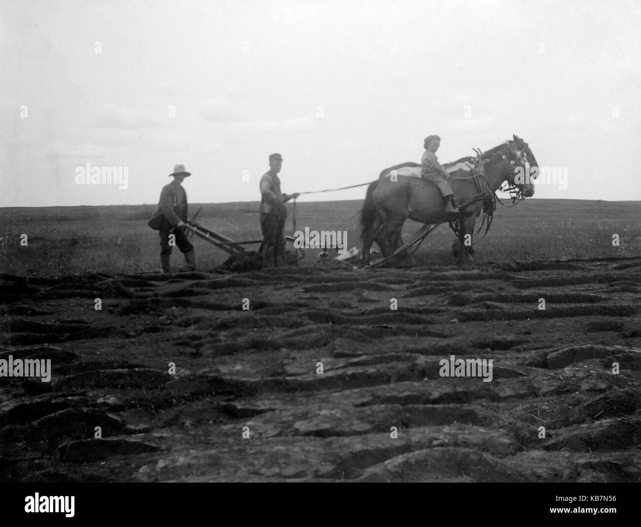 AJAXNETPHOTO. 1903. Kanada, genaue Lage unbekannt. - Wenn die Erde - zwei Männer FAHREN EIN TEAM DER PFERDE ABSCHLEPPEN EIN PFLUG; ein kleiner Junge saß rittlings auf dem Pferd nächste Kamera. Fotograf: unbekannt © DIGITAL IMAGE COPYRIGHT AJAX VINTAGE BILDARCHIV QUELLE: AJAX VINTAGE BILDARCHIV SAMMLUNG REF: AVL 1473 Stockfoto