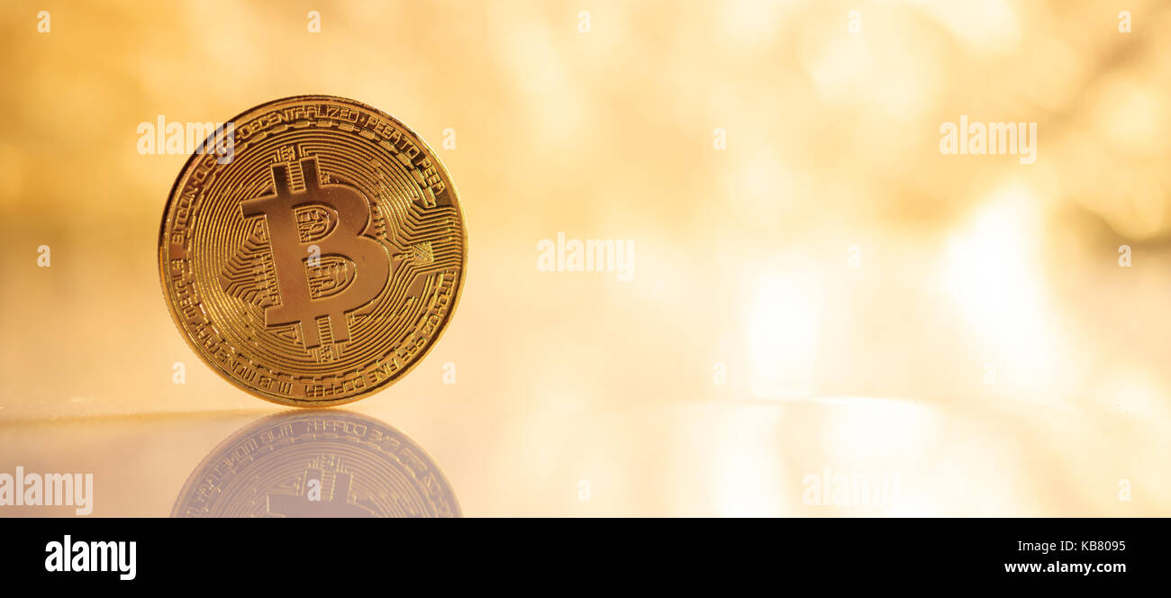 Cryptocurrency Konzept. Single golden Bitcoin und Reflexion Stockfoto