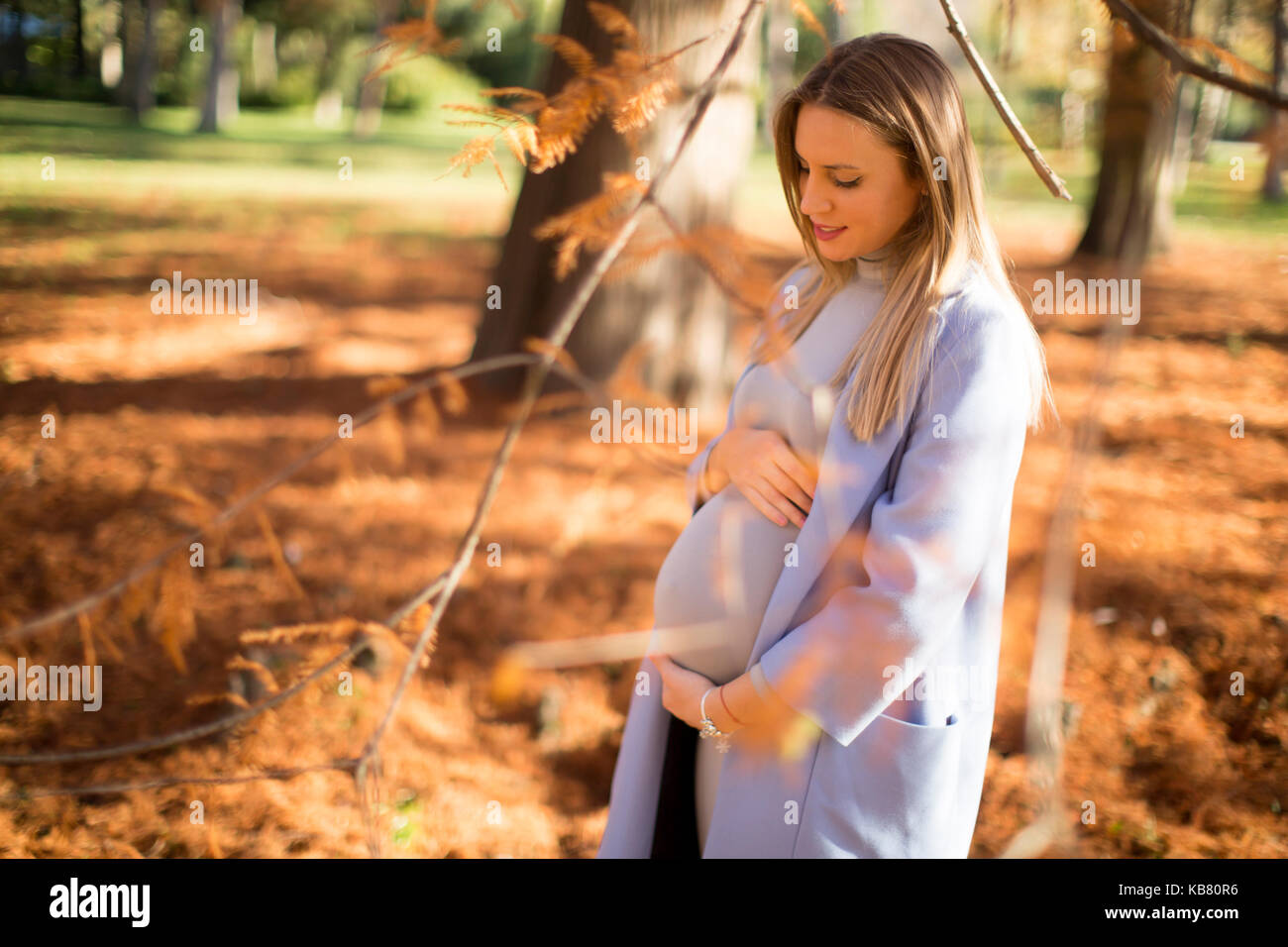 Hübsche junge schwangere Frau im Herbst Park an einem sonnigen Tag Stockfoto