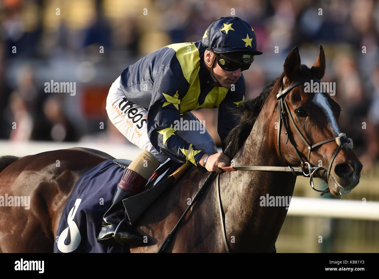 Repercussion geritten von Stephen Donohoe geht auf die Molson Coors Behinderung bei Tag einer der Cambridgeshire Treffen in Newmarket Racecourse zu gewinnen. Stockfoto