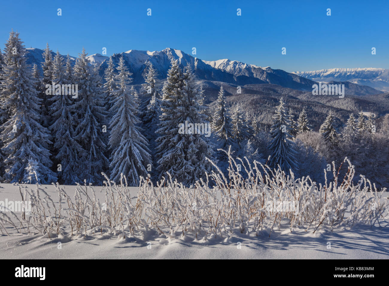 Berglandschaft im Winter. Bucegi Gebirge, Rumänien Stockfoto