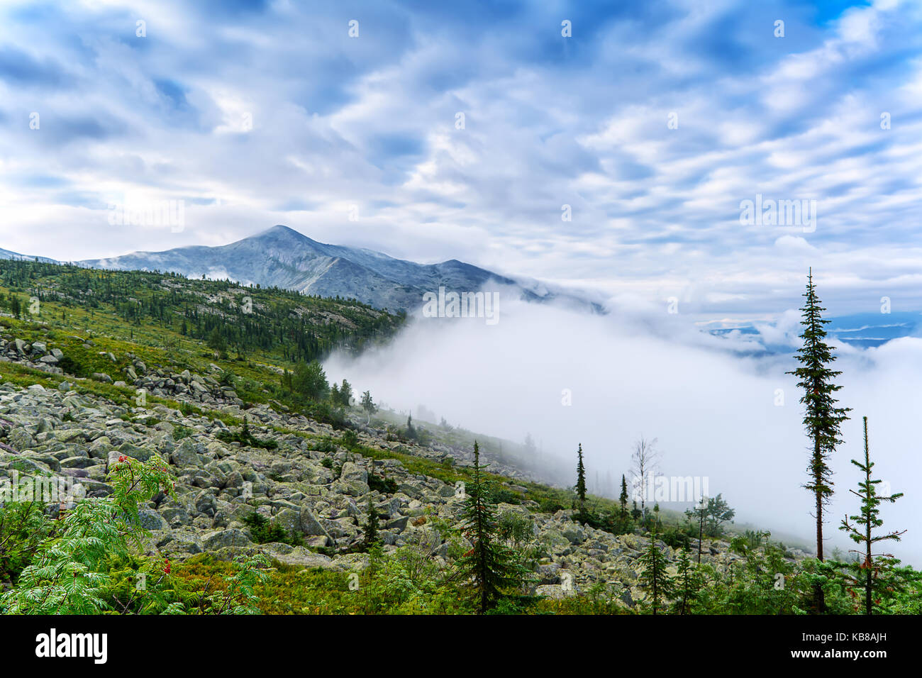 Am frühen Morgen Nebel über Wald im Gebirge Podnebesnye Zubja (Kuznetsk Alatau) Russland Stockfoto