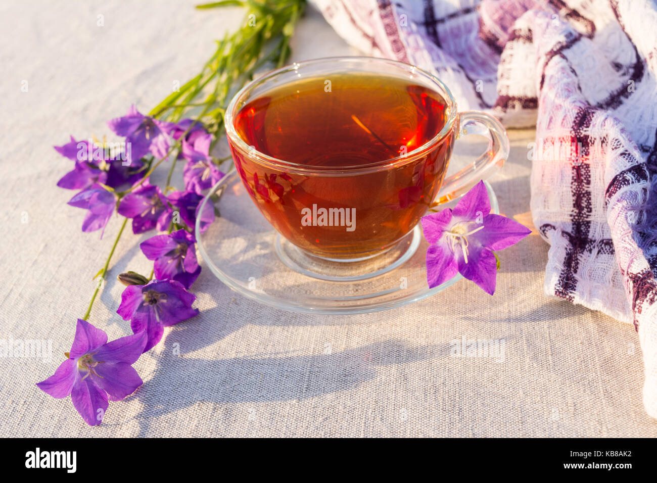 Tasse Tee auf kariert Serviette und Blue Bell Blumen. Sommer Tea time Konzept. Stockfoto