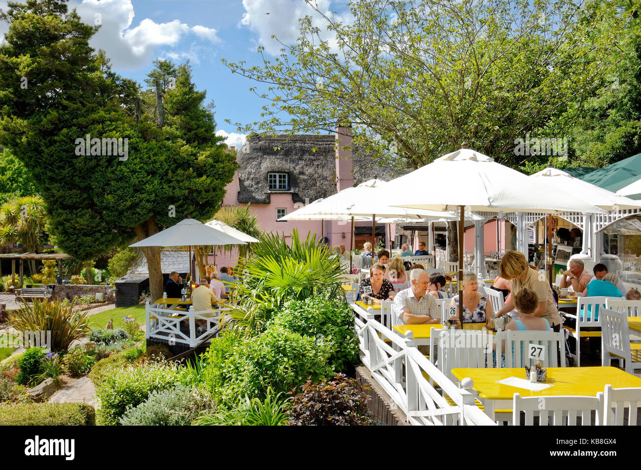 Rose Cottage Tea Gardens, cockington, Torquay Devon, Großbritannien-Urlauber genießen Sie Ihren Nachmittagstee auf der Terrasse rund um den Garten im Sommer Stockfoto