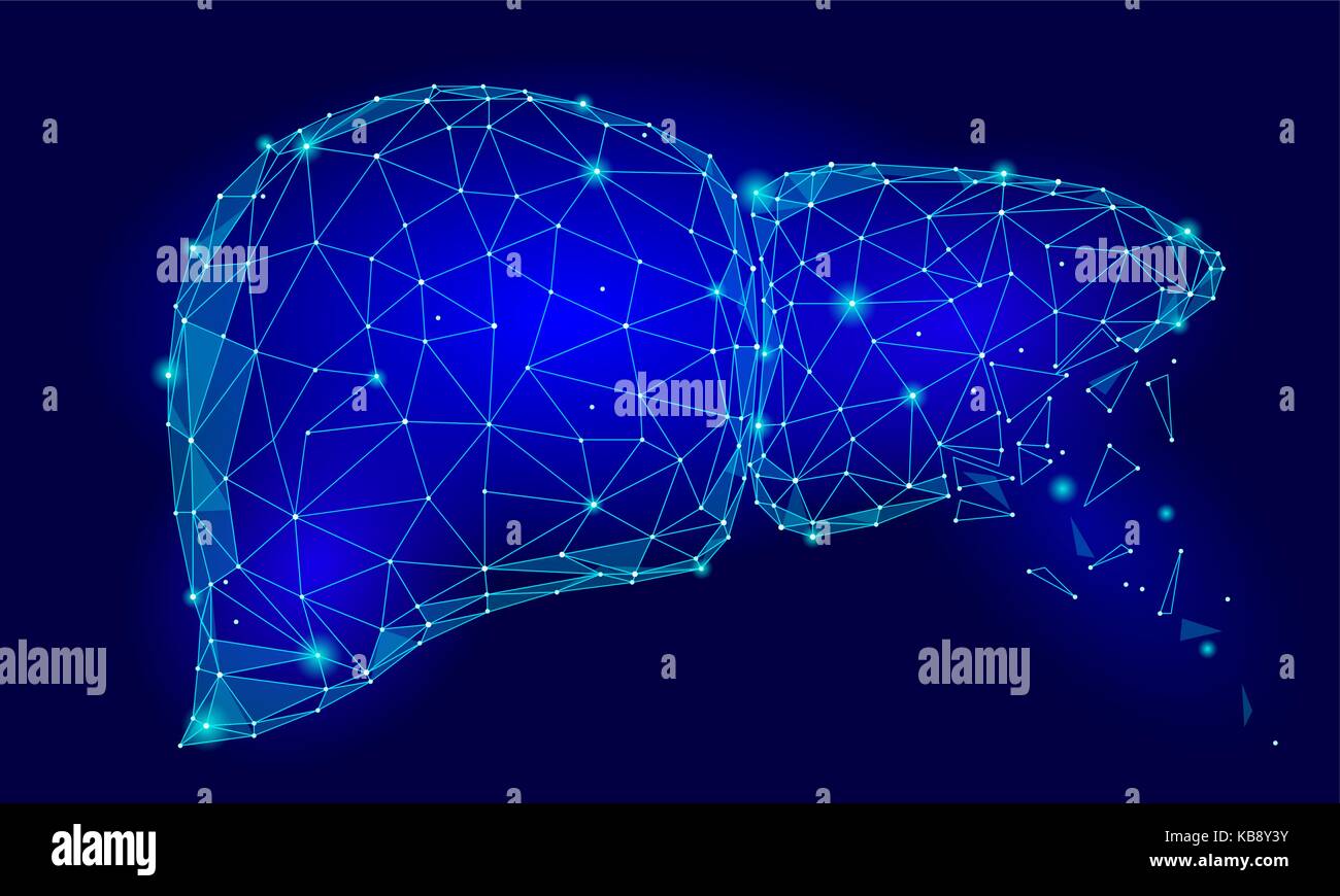 Behandlung regeneration Zerfall der menschlichen Leber internen Organ Dreieck Low Poly. Verbunden Dots blau Farbe Technologie 3D-Modell der Medizin gesunder Körper Teil Vector Illustration Stock Vektor