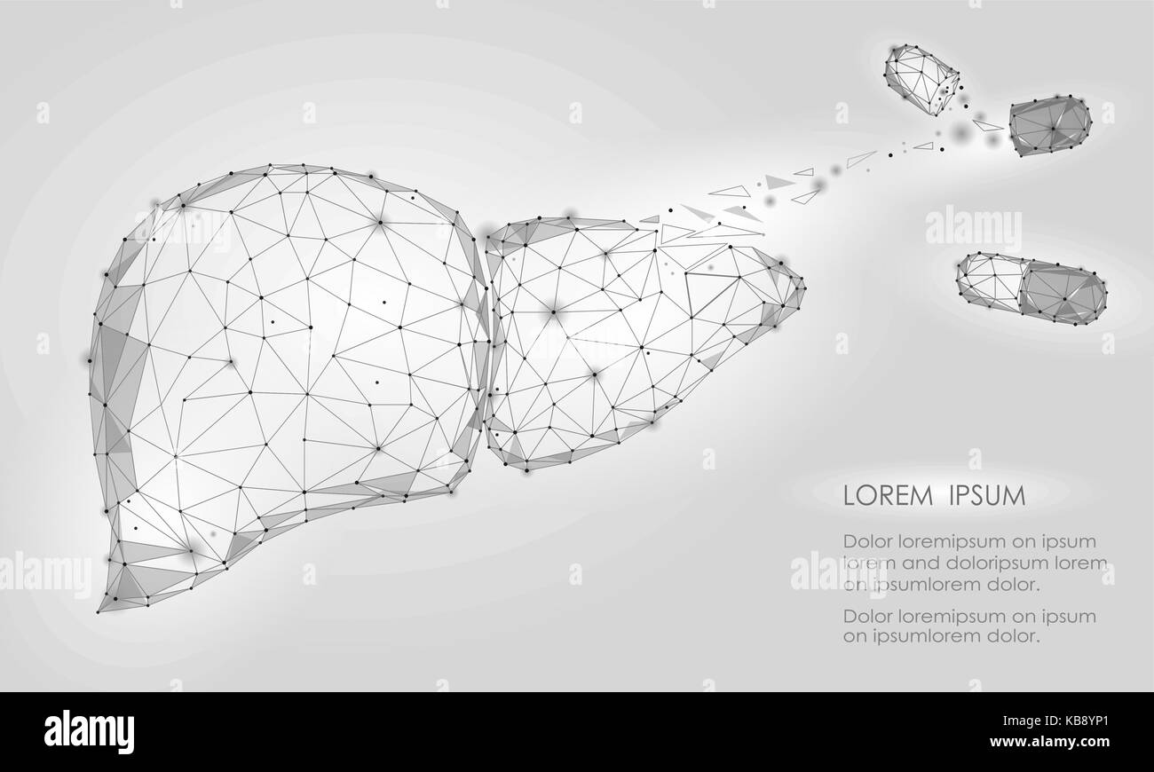 Behandlung regeneration Zerfall der menschlichen Leber internen Organ Dreieck Low Poly. Verbunden Punkte weiß grau Technik 3D-Modell der Medizin Kapsel Tablette Droge Vector Illustration Stock Vektor