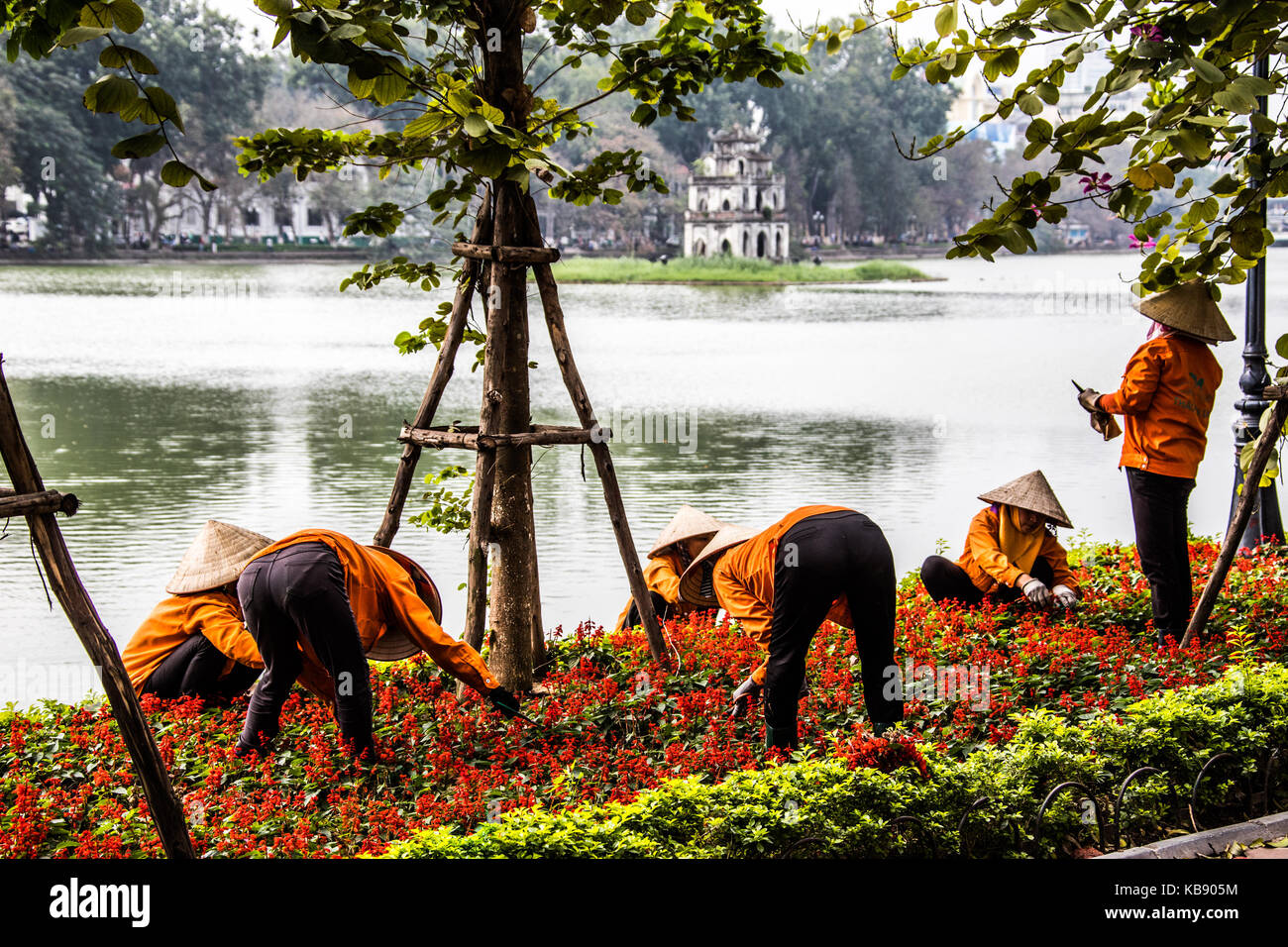Frauen tendenziell Blüten vor thap Rua Tempel oder Turtle Tower, See Hoan Kiem, Hanoi, Vietnam Stockfoto