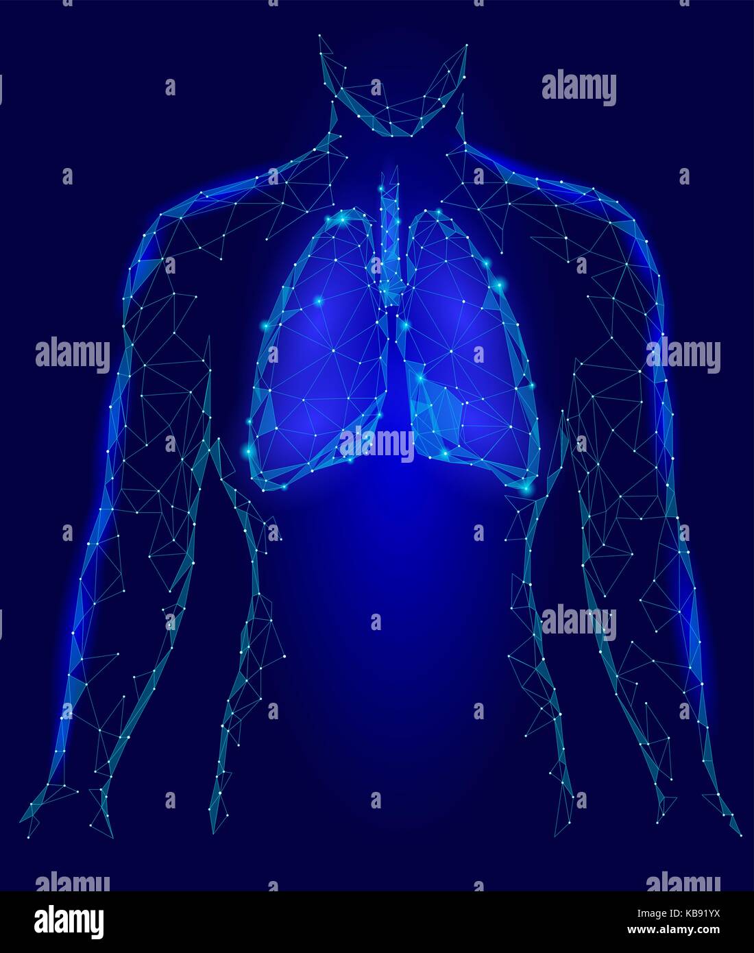 Menschliche Lungen internen Organ. Atemwege im Körper Silhouette. Low Poly 3d angeschlossen Dots Dreieck polygonalen Design. Blaue Farbe Hintergrund Vector Illustration Stock Vektor