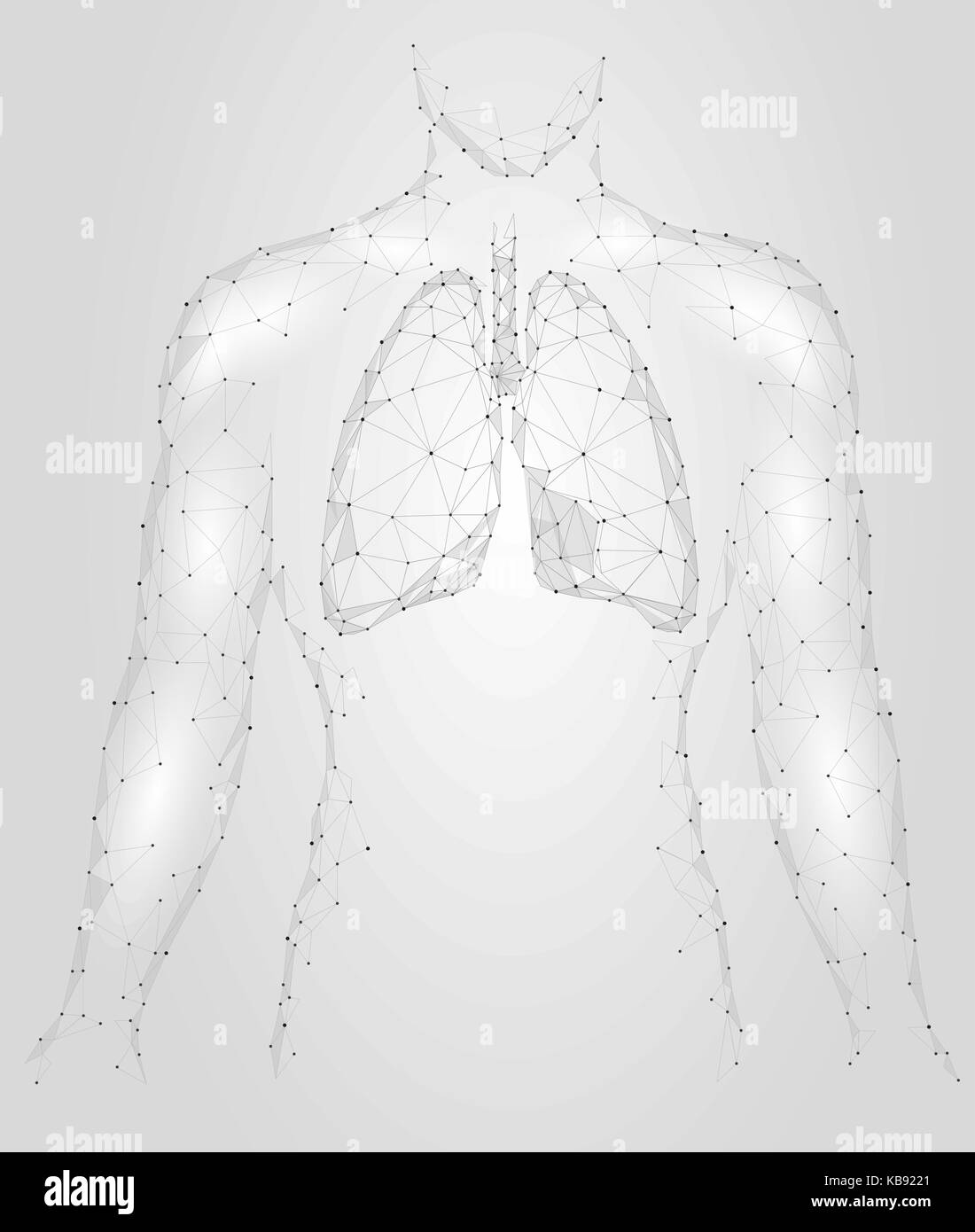 Menschliche Lungen pulmonale Infektion internen Organ. Atemwege im Körper Silhouette. Low Poly 3d angeschlossen Dots Dreieck polygonalen Design. Grau Weiß Farbe Hintergrund Vector Illustration Stock Vektor