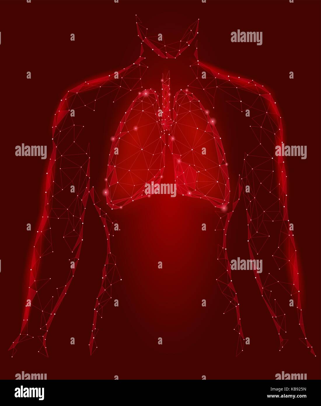 Menschliche Lungen internen Organ. Atemwege im Körper Silhouette. Low Poly 3d angeschlossen Dots Dreieck polygonalen Design. Rote Farbe Hintergrund Vector Illustration Stock Vektor