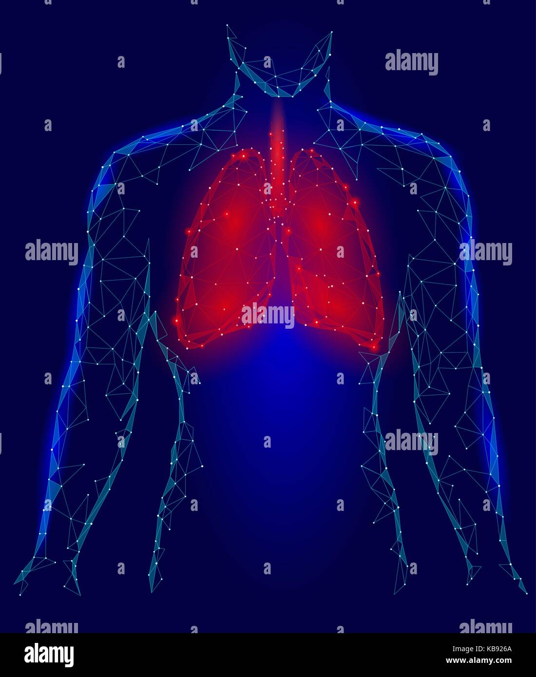 Menschliche Lungen pulmonale Infektion internen Organ. Atemwege im Körper Silhouette. Low Poly 3d angeschlossen Dots Dreieck polygonalen Design. Rot Blau Farbe Hintergrund Vector Illustration Stock Vektor