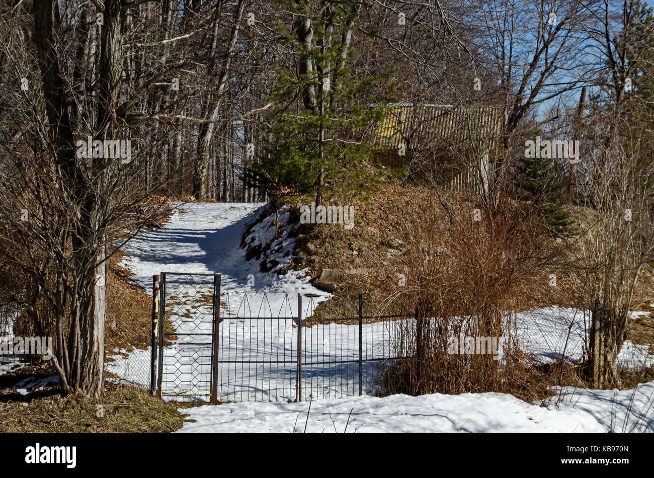 Wald Haus oder Hütte in kleinen Hof auf Winterzeit in Berg Vitosha, Bulgariens Stockfoto