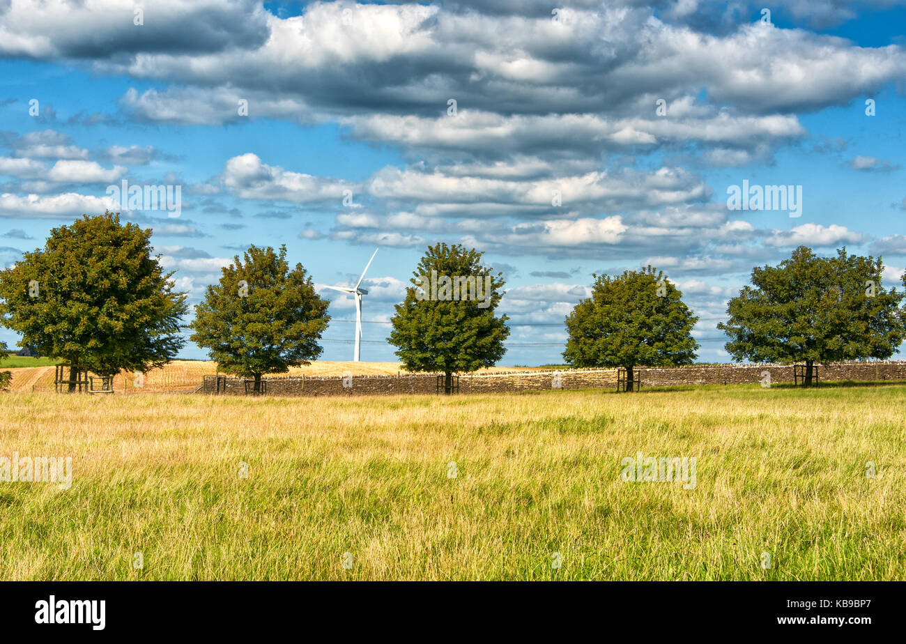 Bäume und Wind Generator in Dyrham Park, South Gloucestershire Stockfoto