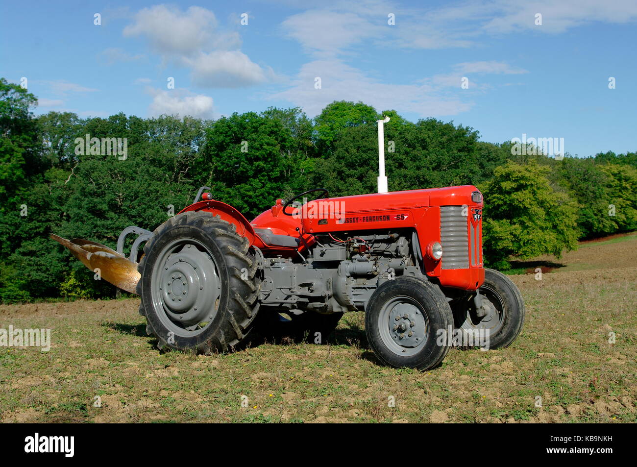 Massey Ferguson MF65 Traktor Stockfoto