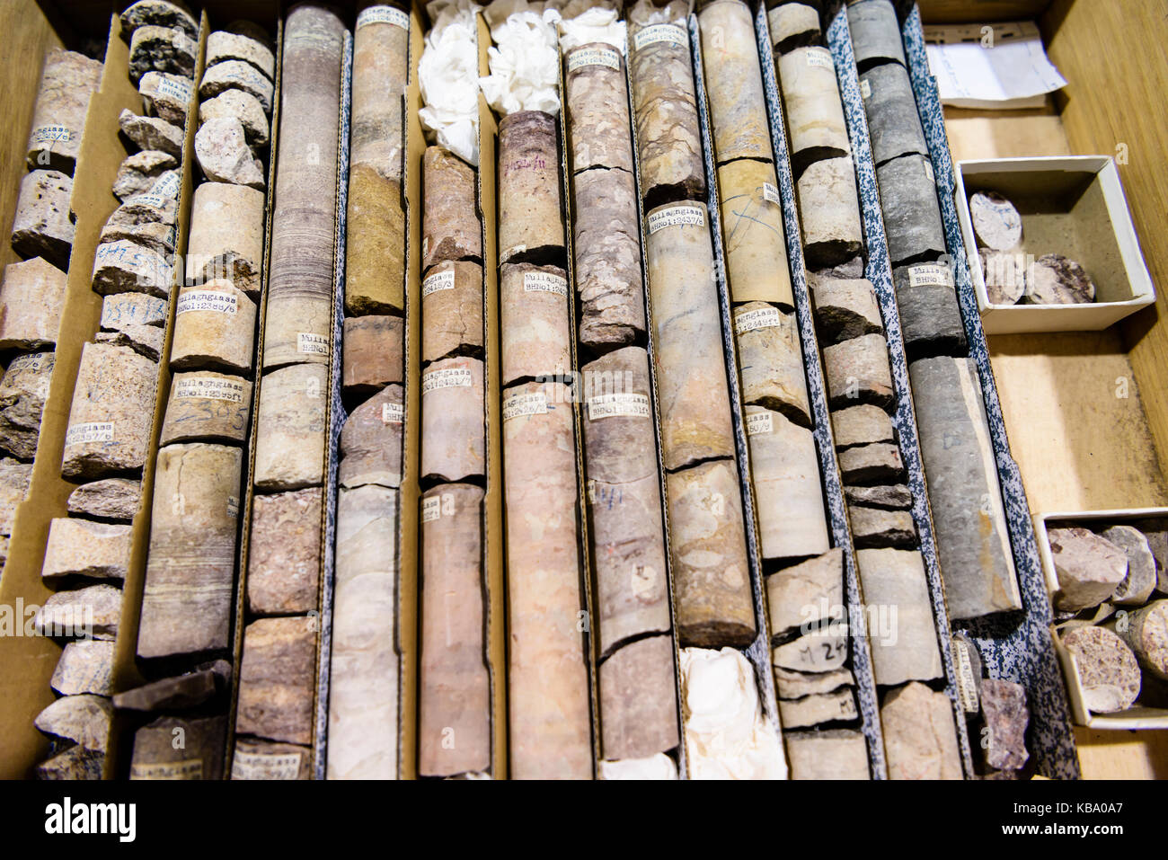Rock core Proben an die Geologische Übersicht von Nordirland. Stockfoto