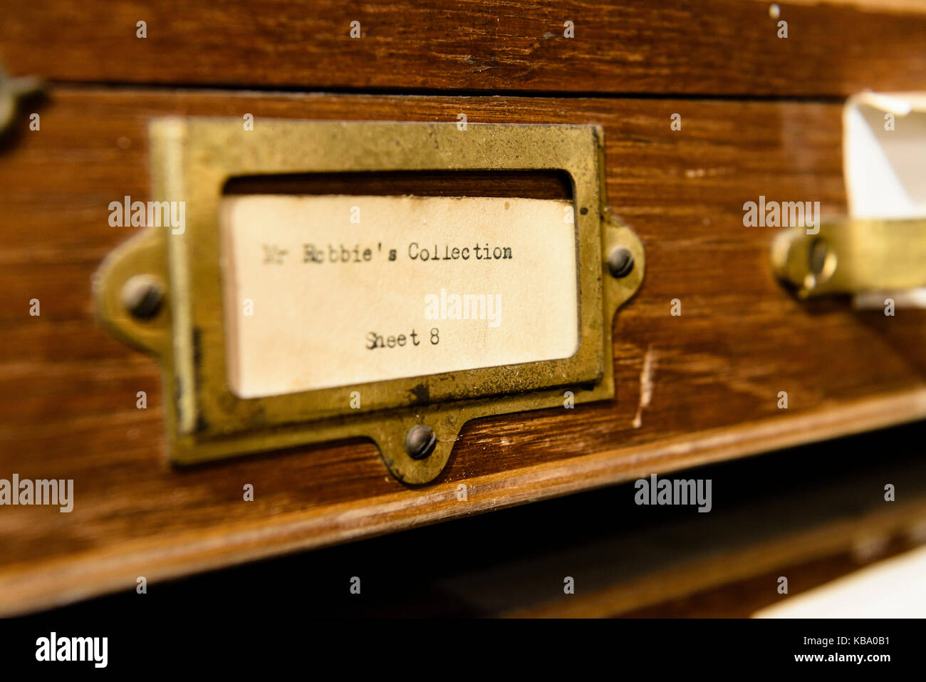 Rock core Proben an die Geologische Übersicht von Nordirland. Stockfoto