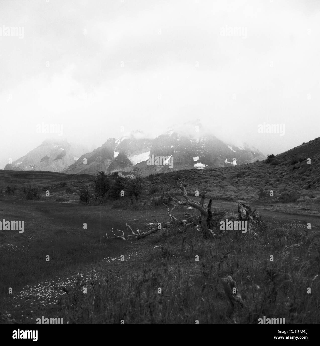 Landschaft im Torres del Paine Nationalpark im Süden von Chile, 1960er Jahre. Malerische Landschaft bei den Torres del Paine National Park im Süden von Chile, 1960er Jahre. Stockfoto