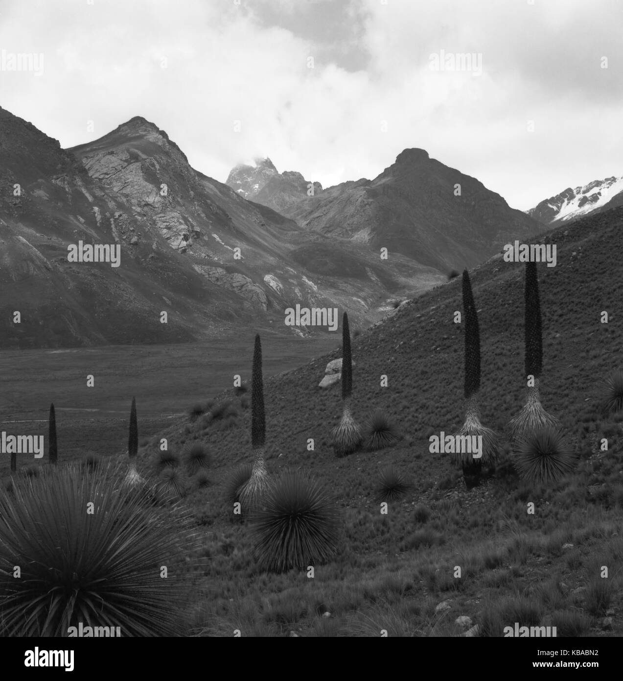 Landschaft im Gebirgstal Callejon de Huaylas im Hochgebirge der Anden, Peru 1960er Jahre sterben. Landschaft im Tal Callejon de Huaylas an der Anden, Peru 1960. Stockfoto