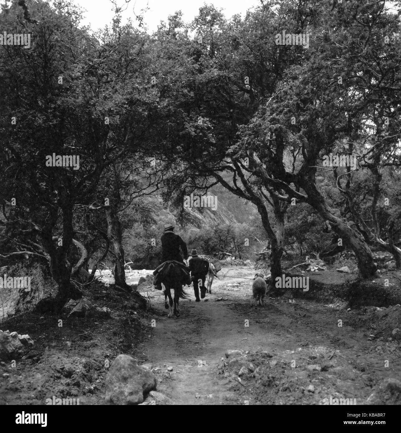 Landschaft im Gebirgstal Callejon de Huaylas im Hochgebirge der Anden, Peru 1960er Jahre sterben. Landschaft im Tal Callejon de Huaylas an der Anden, Peru 1960. Stockfoto