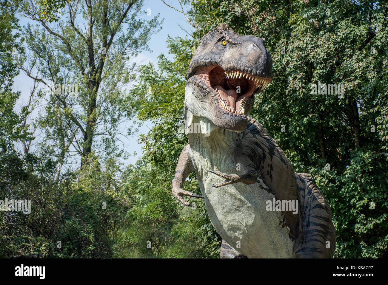 Tyrannosaurus rex in der wilden Natur Stockfoto