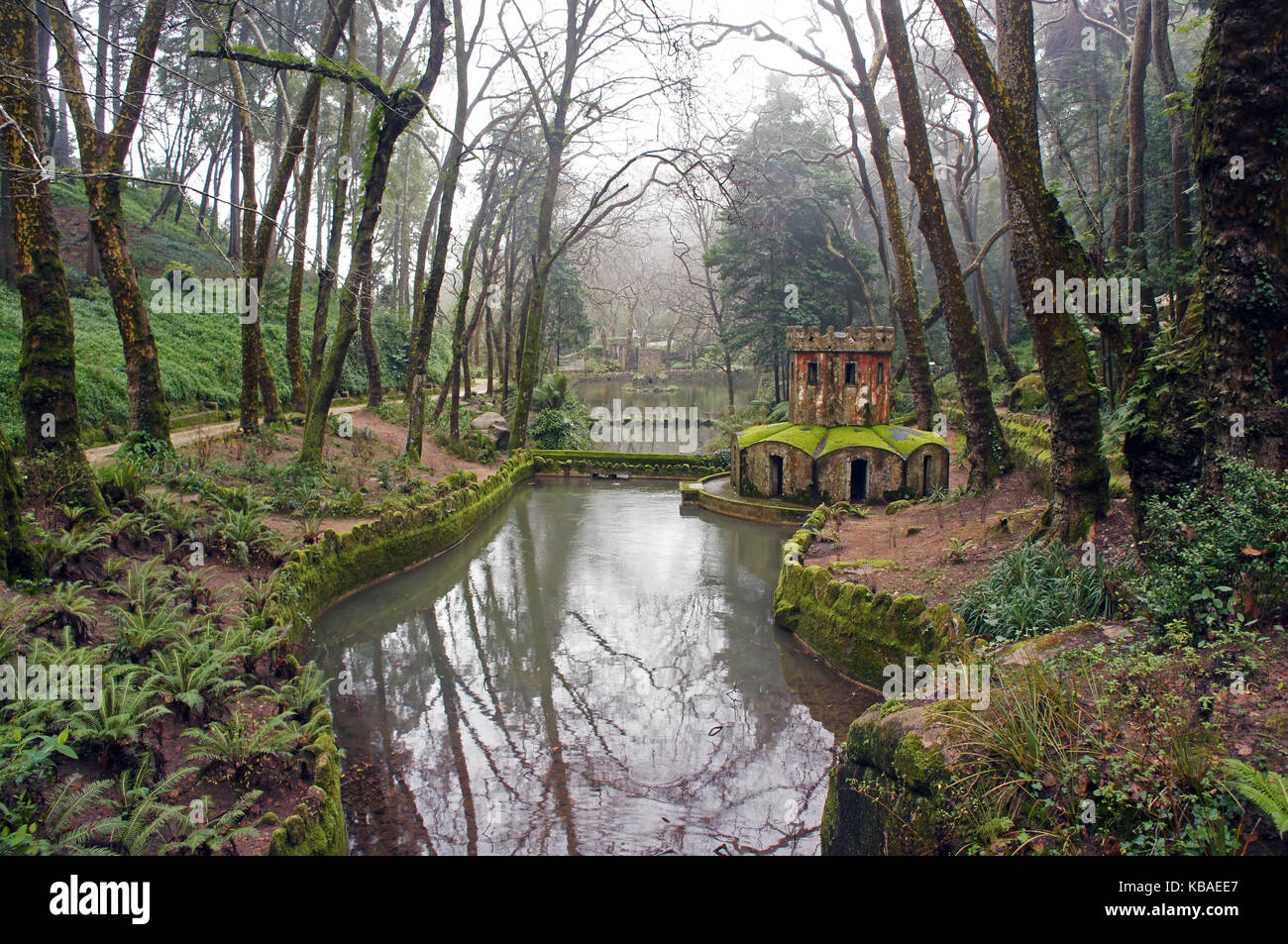 Ente Haus und den Teich auf dem Fluss in da Pena Park, Sintra während Nebelige, regnerische Wetter Stockfoto