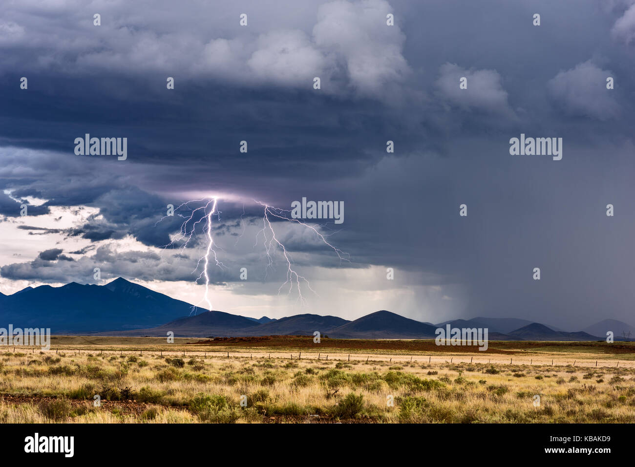 Ein dramatischer Gewitterschlag von Wolken zu Boden aus einem Sturm über den San Francisco Peaks in Flagstaff, Arizona Stockfoto