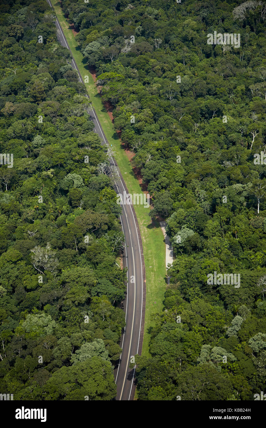 Regenwald, Iguaçu Nationalpark und Straße nach Iguazu Falls, Parana State, Brasilien, Südamerika - Luftaufnahme Stockfoto