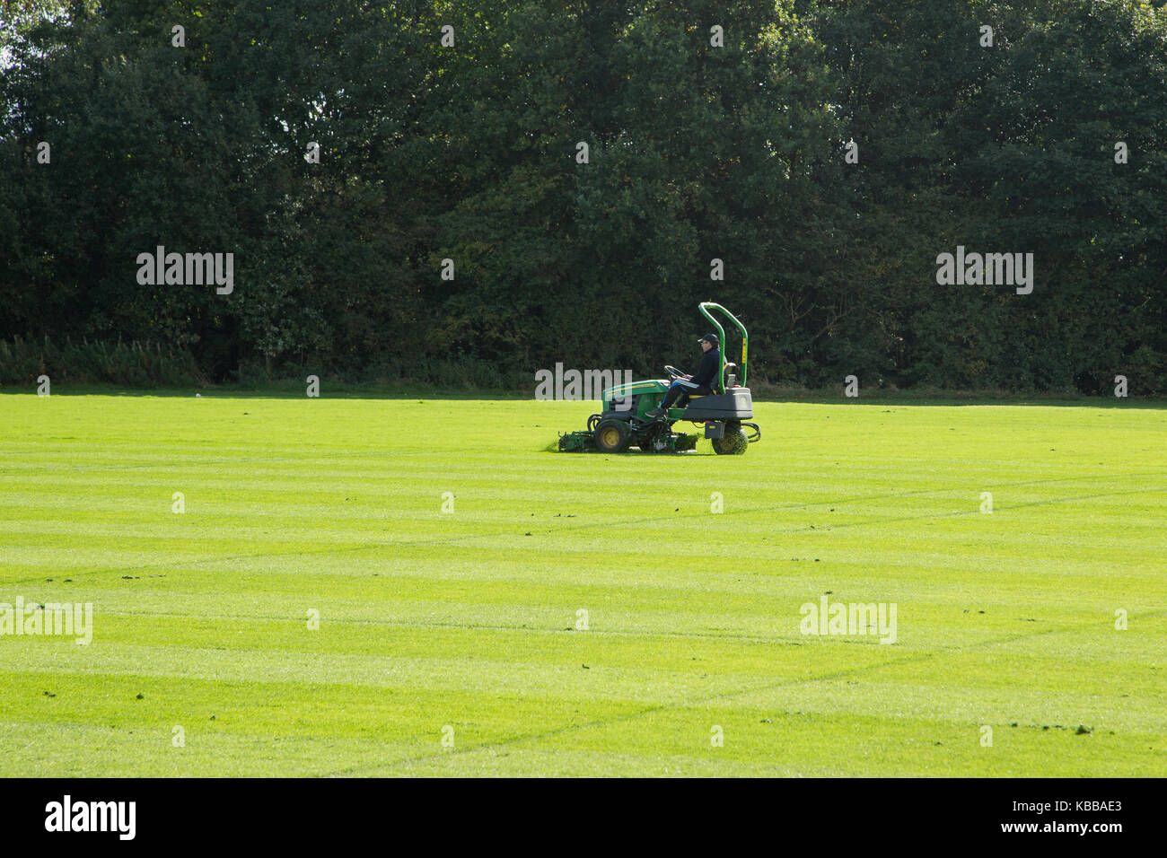 Mitarbeiter schneiden das Gras auf dem Feld mit Rasenmäher Stockfoto