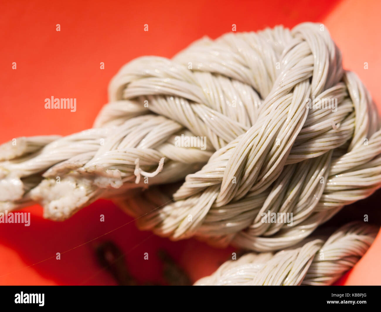 Enge Seilschaft Knoten close up Holding in Platz gebunden, Essex, England, Großbritannien Stockfoto