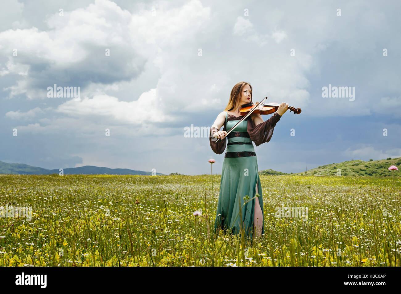 Schöne weibliche viola Player auf einem wildflower Meadow Stockfoto