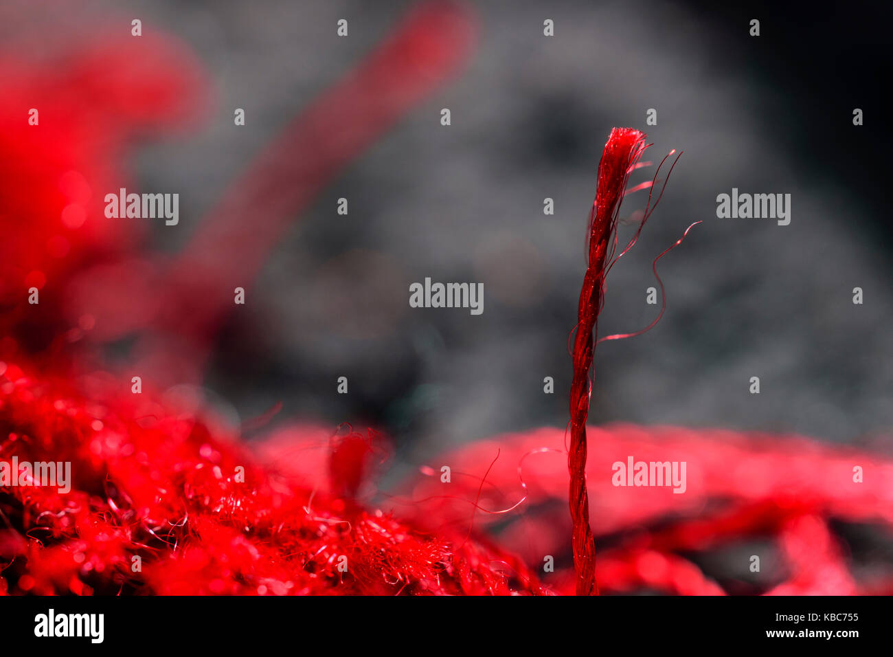 Extreme Nahaufnahme von einem leuchtend rote Faser gesponnen In Spirale Stockfoto