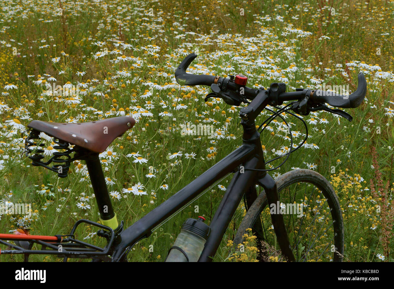 Radfahren auf dem Feld Titel alle Farben Stockfoto