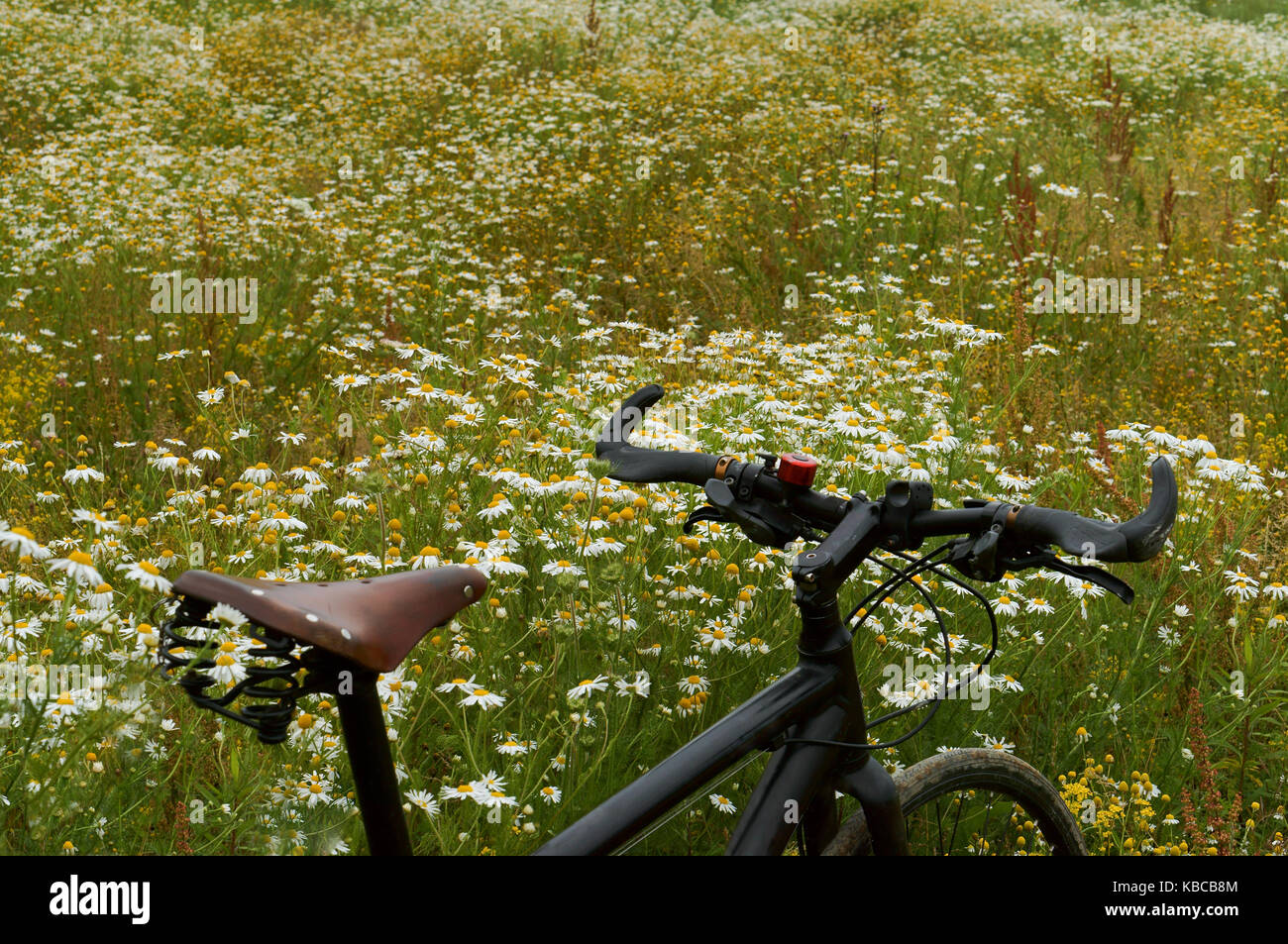 Radfahren auf dem Feld Titel alle Farben Stockfoto