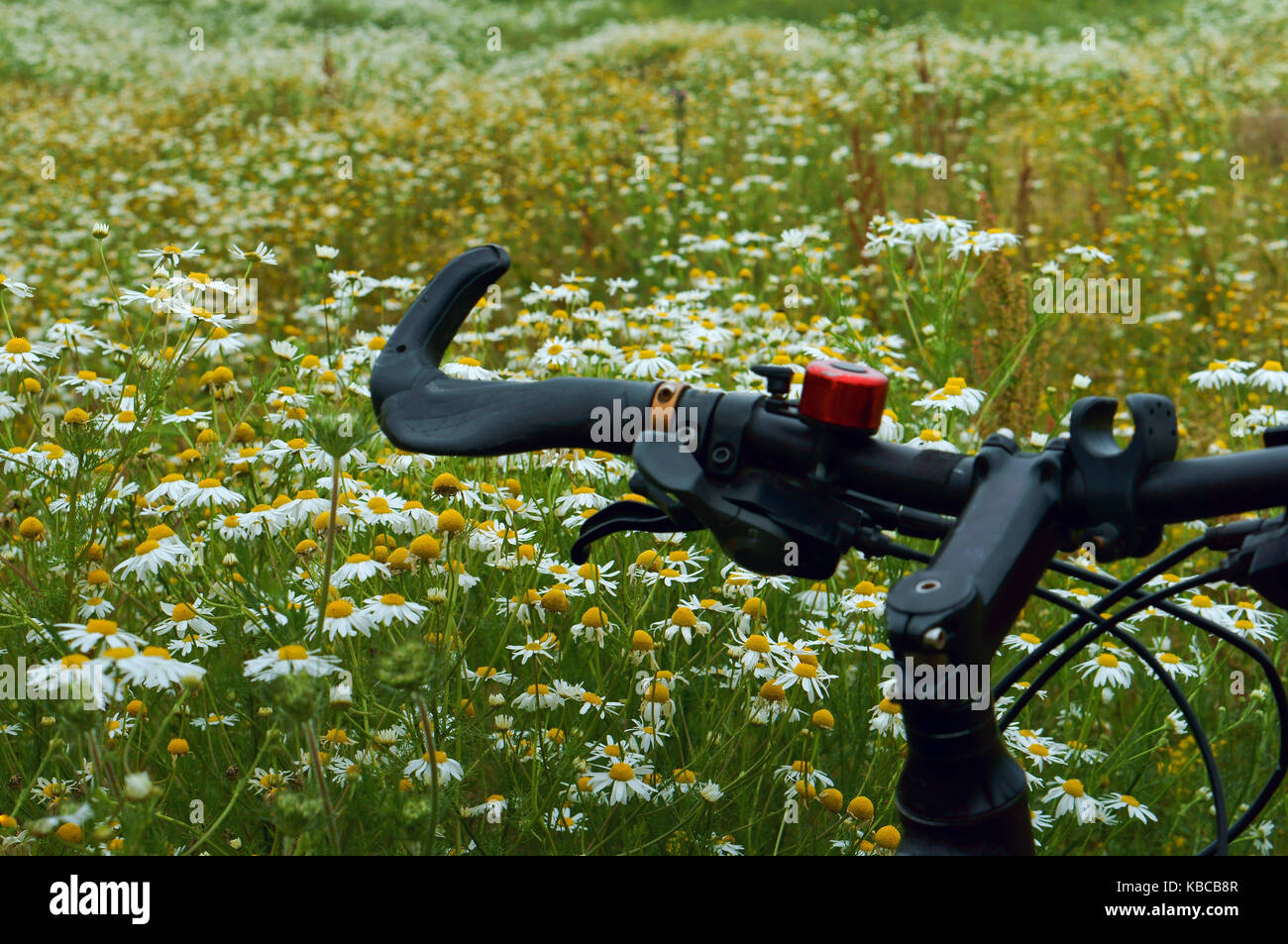 Radfahren auf dem Feld Titel alle Farben Stockfoto