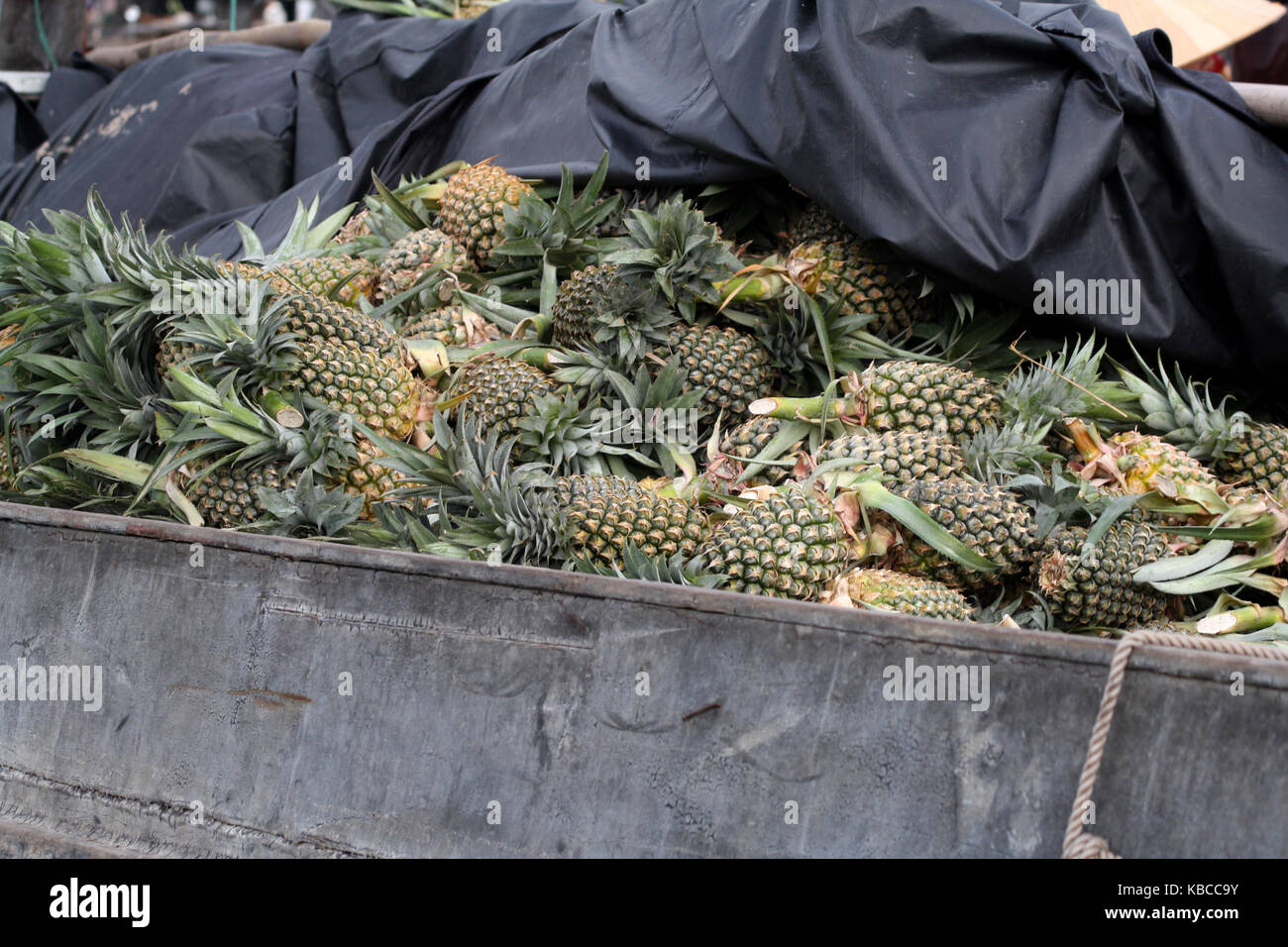 Ananas auf dem Boot auf dem Mekong Delta Stockfoto