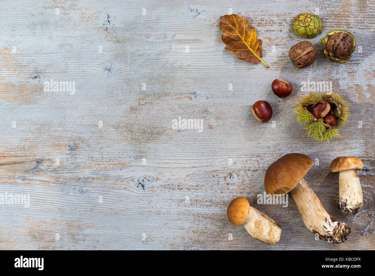 Dekorative Herbst rechten Rand mit Kastanien, Walnüsse, Haselnüsse, Eicheln, ceps, und verlässt auf grau Holzbrett Stockfoto