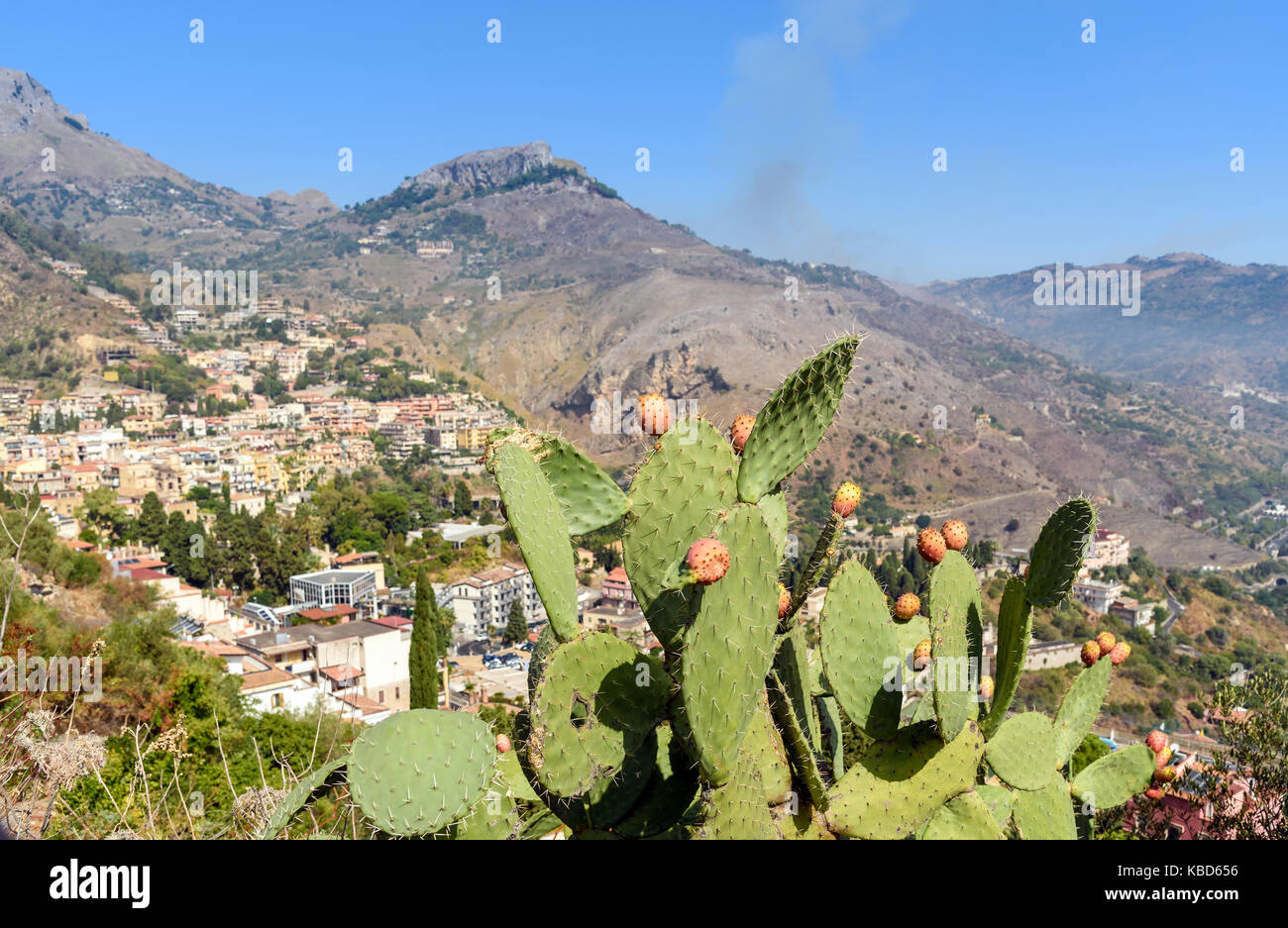 Feigenkaktus und Taormina auf den Hintergrund, Sizilien, Italien Stockfoto