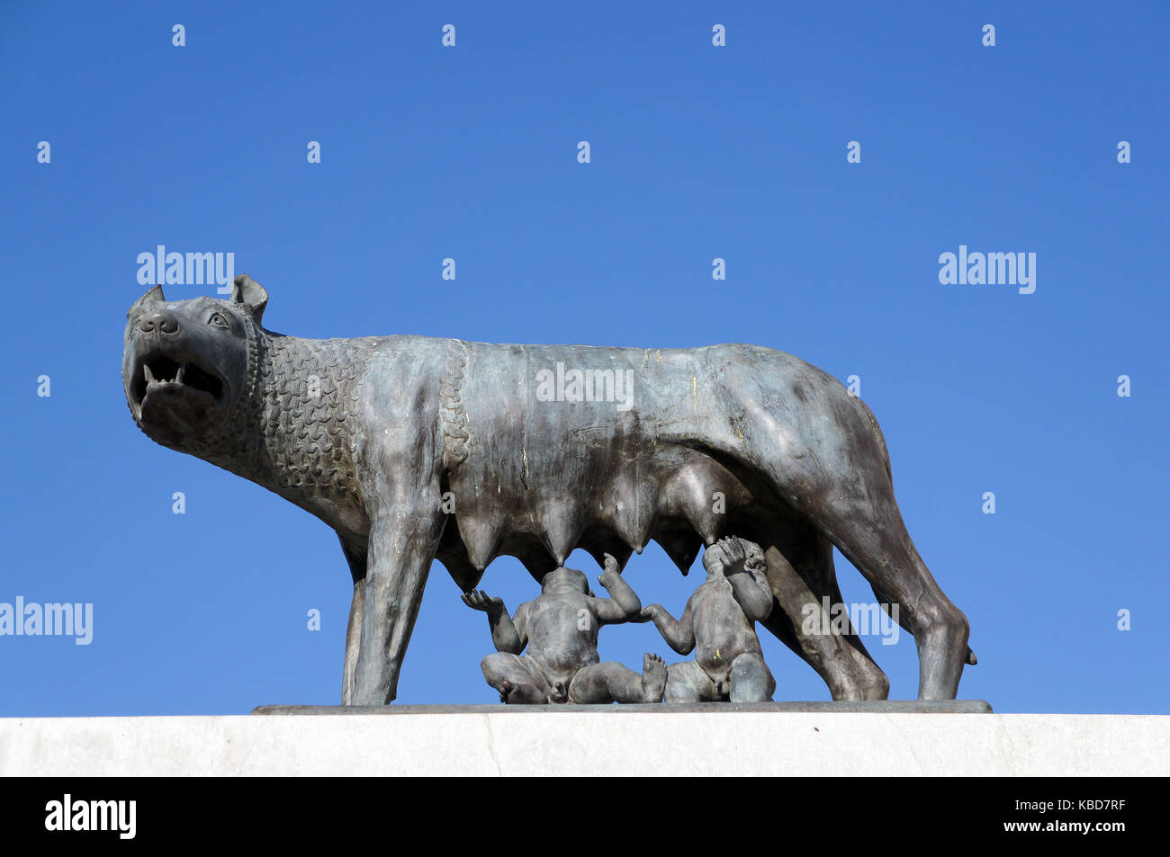 Romulus und Remus und Frau Wolf auf der Statue in Cluj-Napoca, Rumänien Stockfoto
