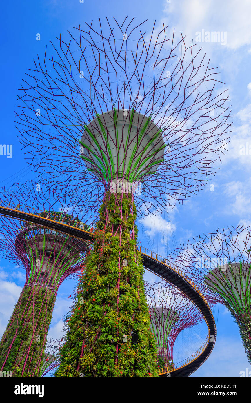 Die Gärten an der Bucht mit blauen Himmel in Singapur Stockfoto