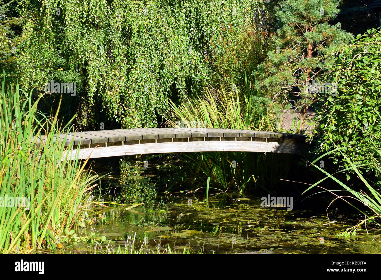 Schöne kleine hölzerne Brücke über Wasser. Stockfoto